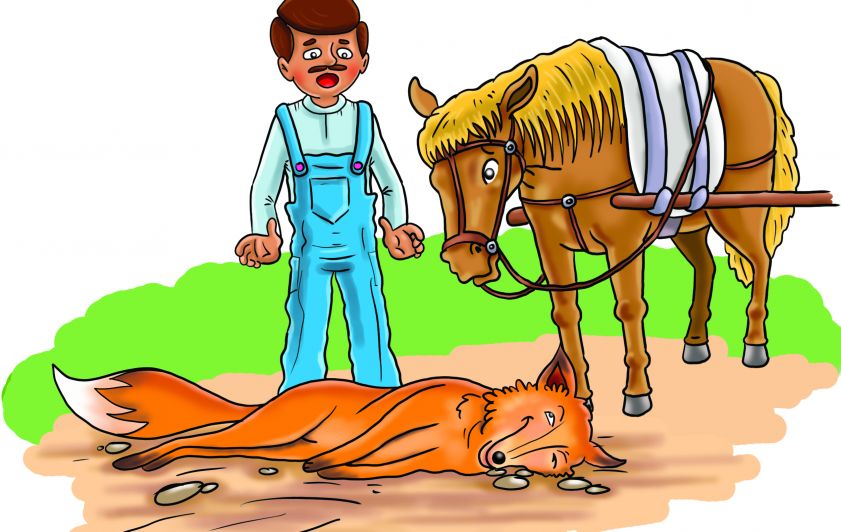 الثعلب والصياد