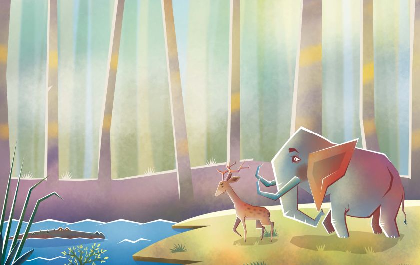 أين هي التماسيح؟