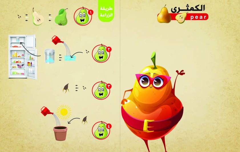 نبات الكمثرى