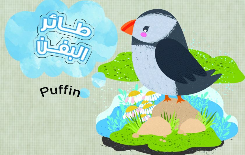 لنتعلم من طائر (البفن)