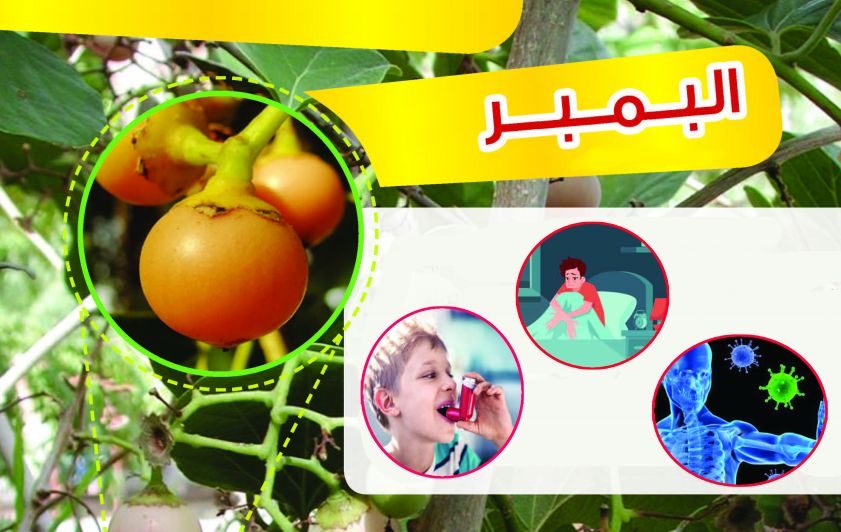 البمبر وأهم فوائده الصحية