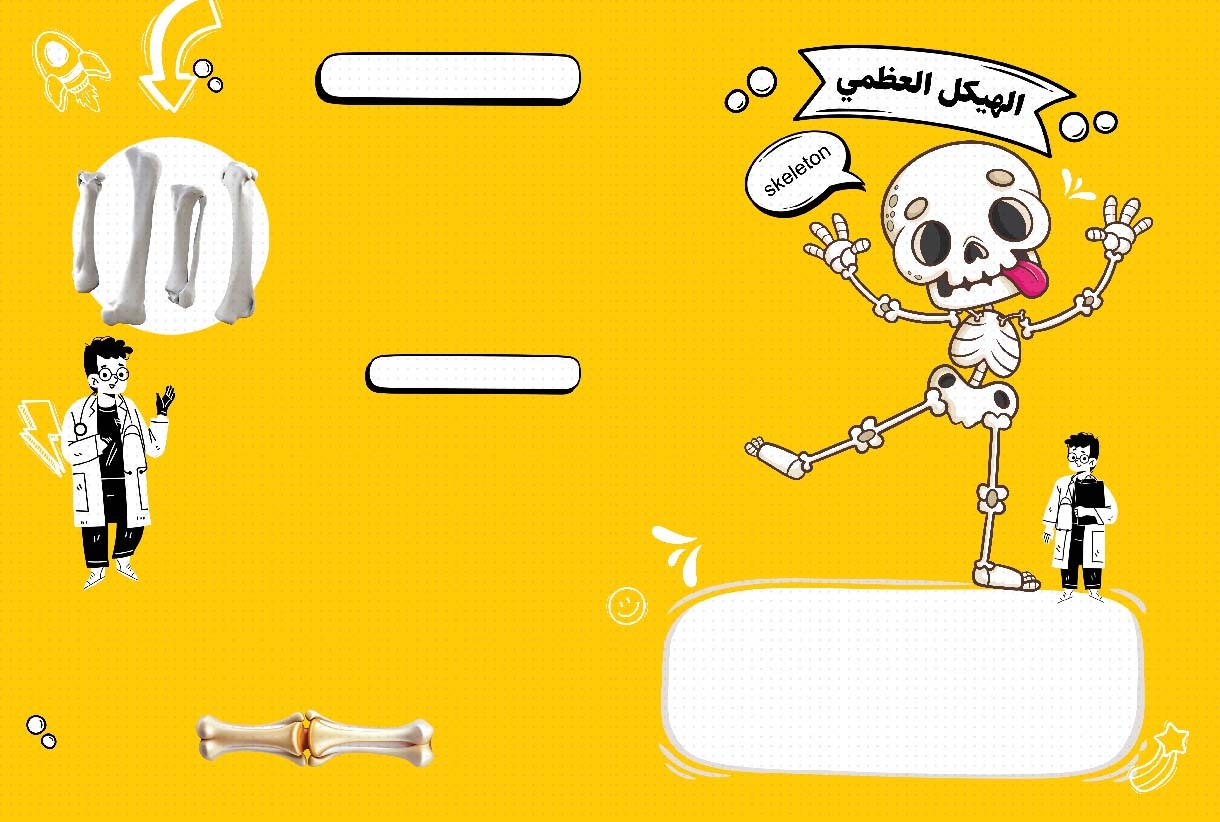 لماذا الهيكل العظمي مهم؟