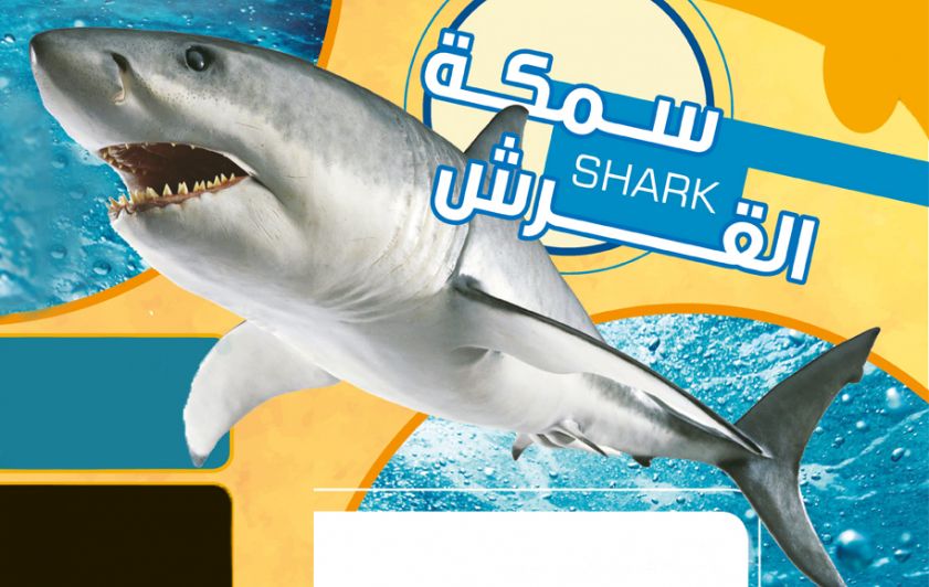 أغرب أنواع (سمكة القرش)