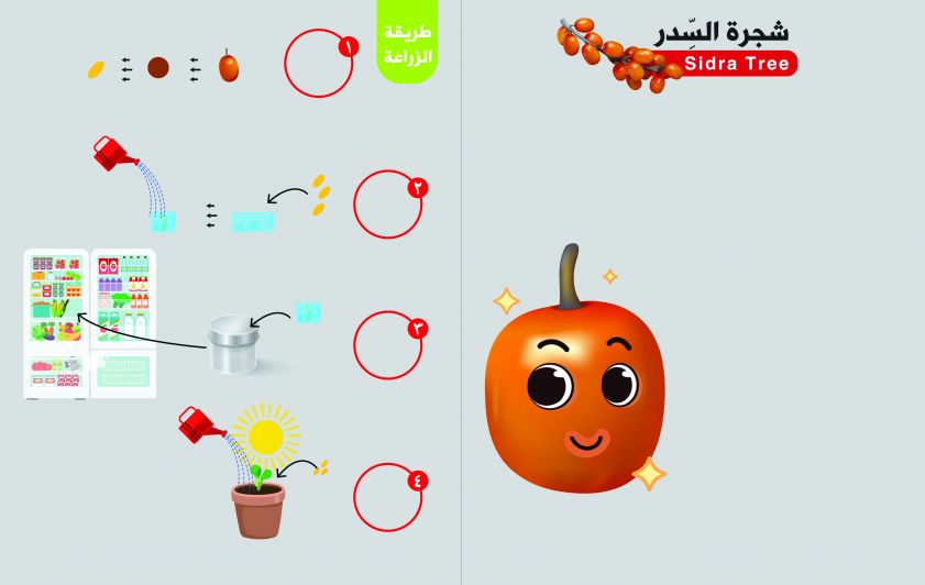 شجرة السِّدر