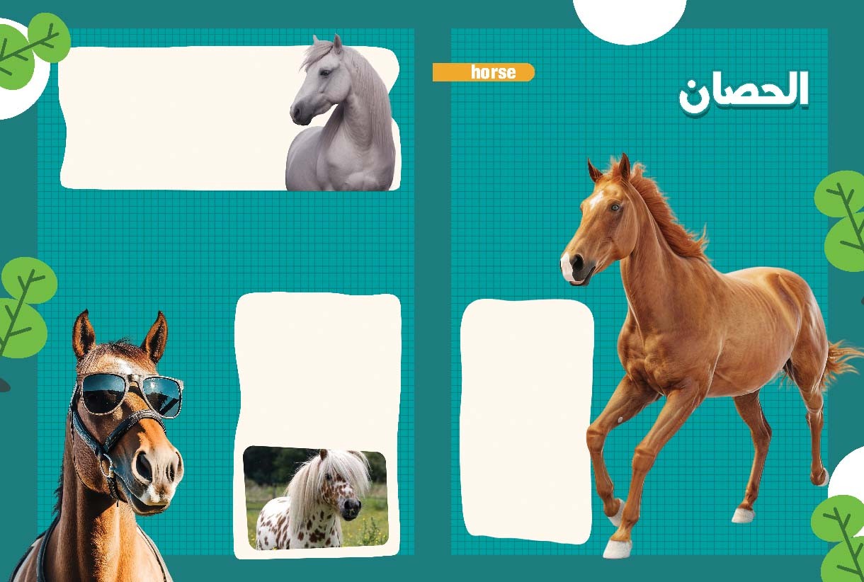 اغرب أنواع الأحصنة