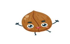 ماذا تعرفُ عن فوائد الجوز؟