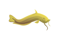 الانقليس البحري