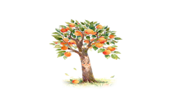 شجرة المشمش