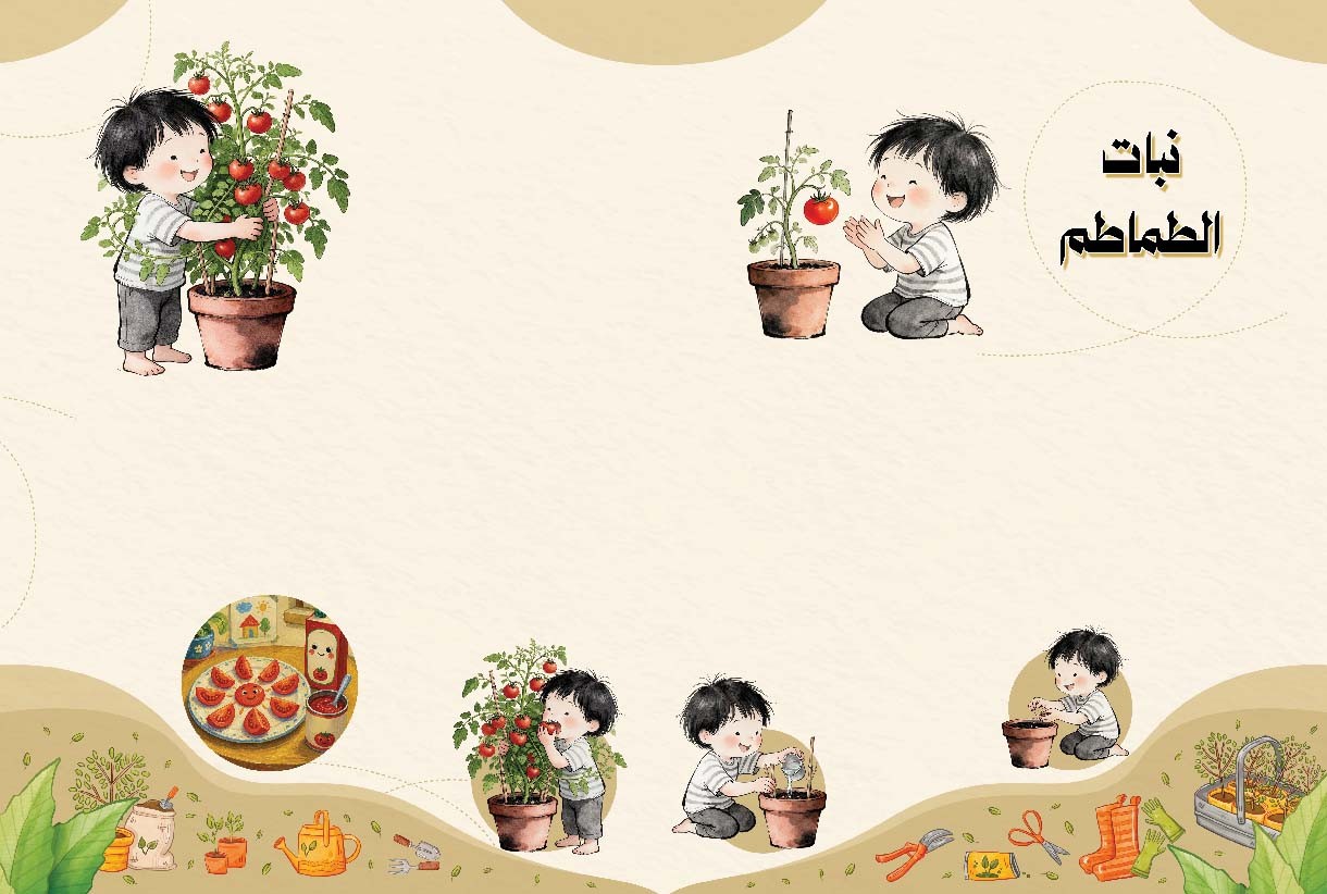 متى نستطيع زراعة الطماطم؟