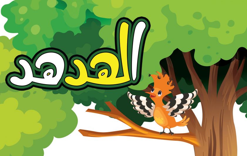 مــاذا نـتعلــم من (الهـدهــد)