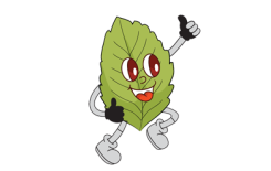 فوائد النَّعناع