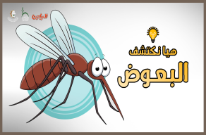 هيا نكتشف - البعوضة